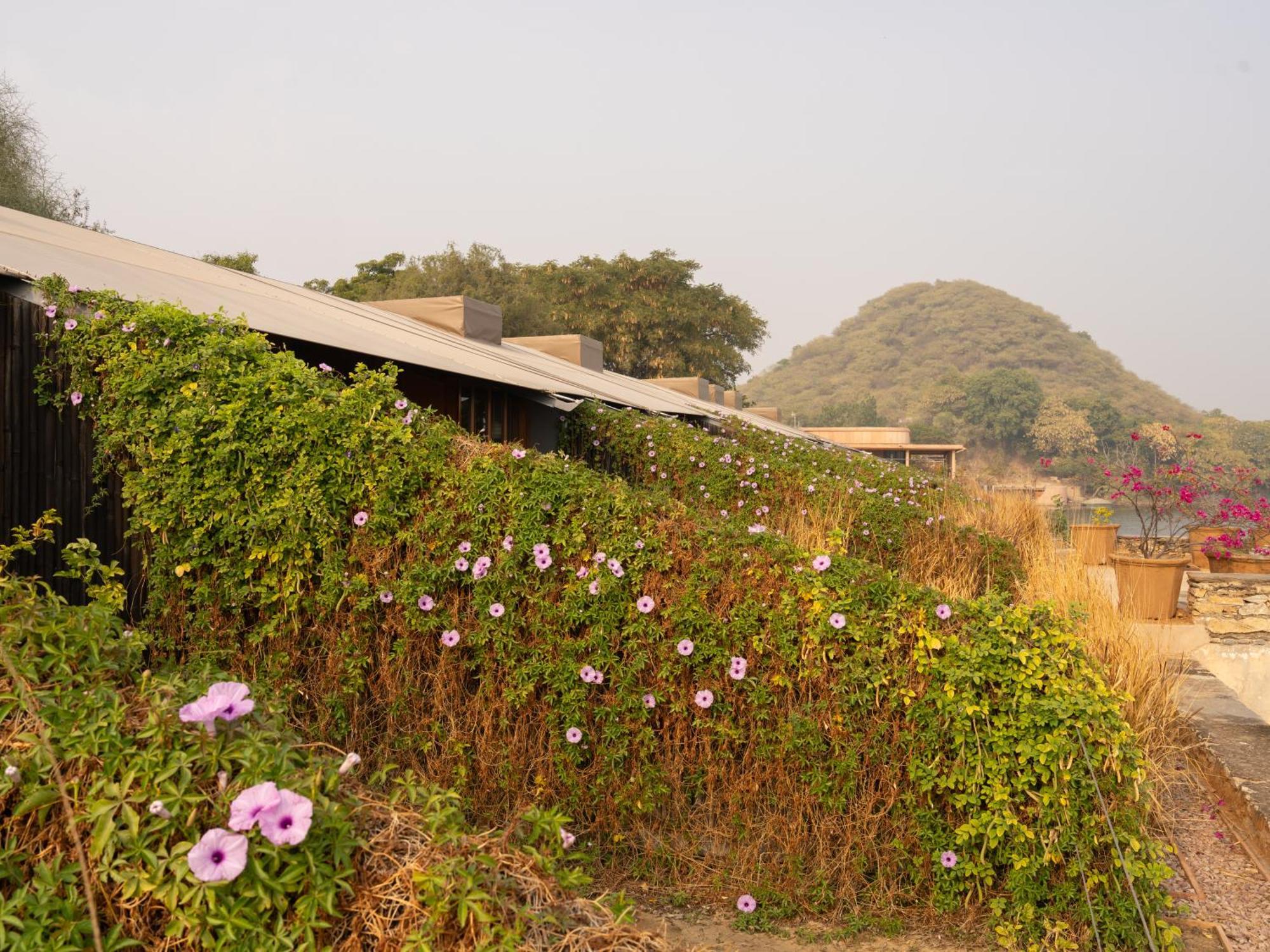 Raas Chhatrasagar, Nimaj, District Pali Екстер'єр фото
